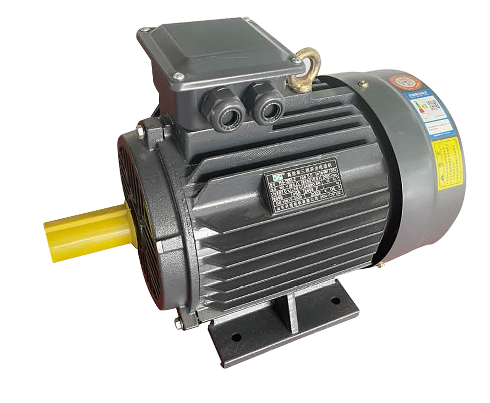 YE4 HIGH EFFICIENCY THREE PHASE ASYNCHRONOUS MOTOR